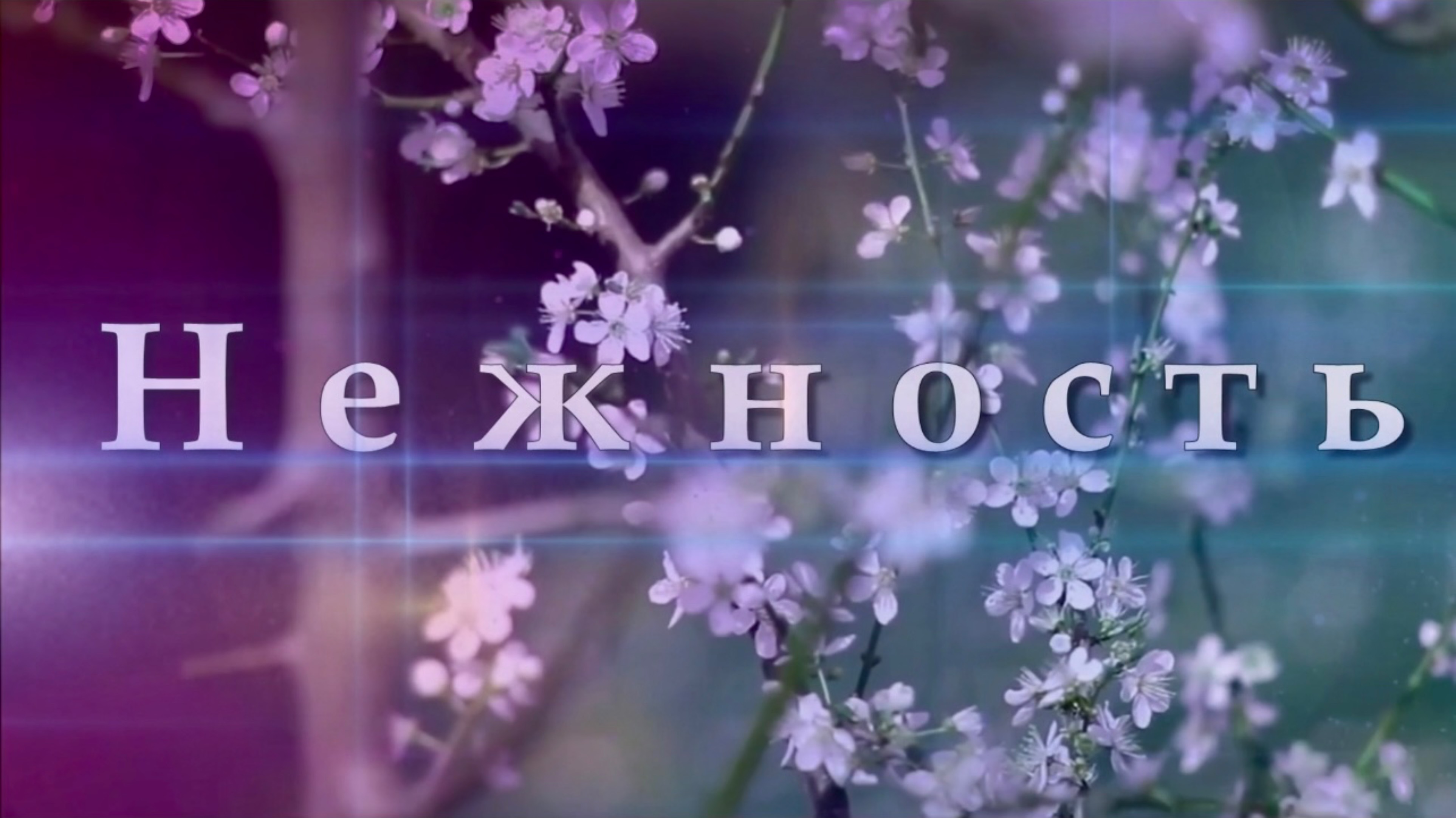 Нежности не нужно громких слов. Песня о нежности