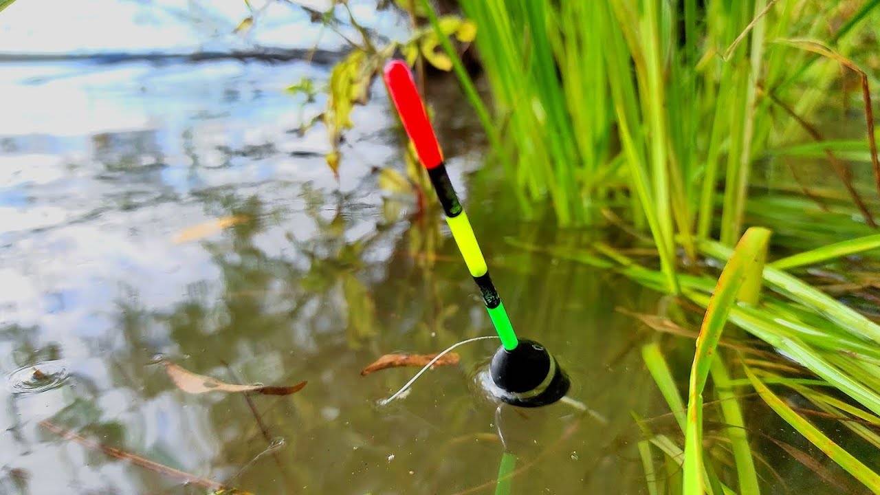 ПОПАЛ НА ДИКИЙ ХАПОК! Закинул поплавок в ЗАВОДЬ и начался УЖАС! Рыбалка 2025