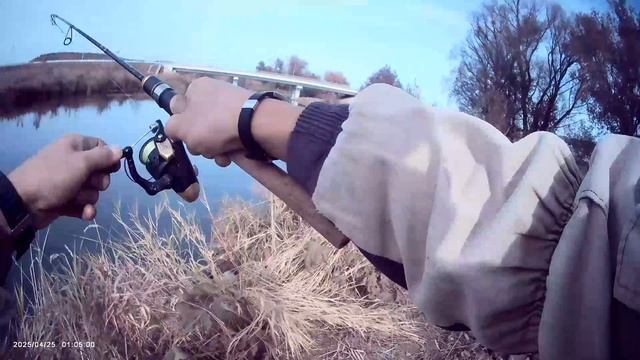 Рыбачил на реке🎣 Ловля на Ультралайт🎣 Не плохой клёв щуки. Удалось поймать несколько щук👍