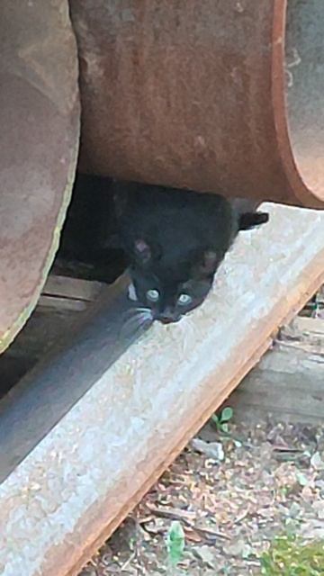 Всех красавчиков разобрали по рукам.