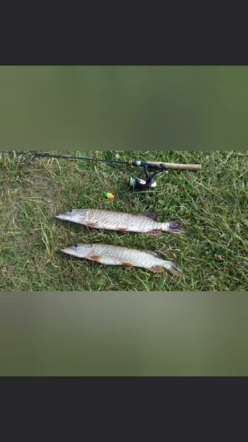 Рыбачил на реке🎣 Ловля на Ультралайт🎣 Не плохой клёв щуки. Удалось поймать несколько щук👍