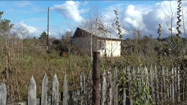 Купил соседний участок