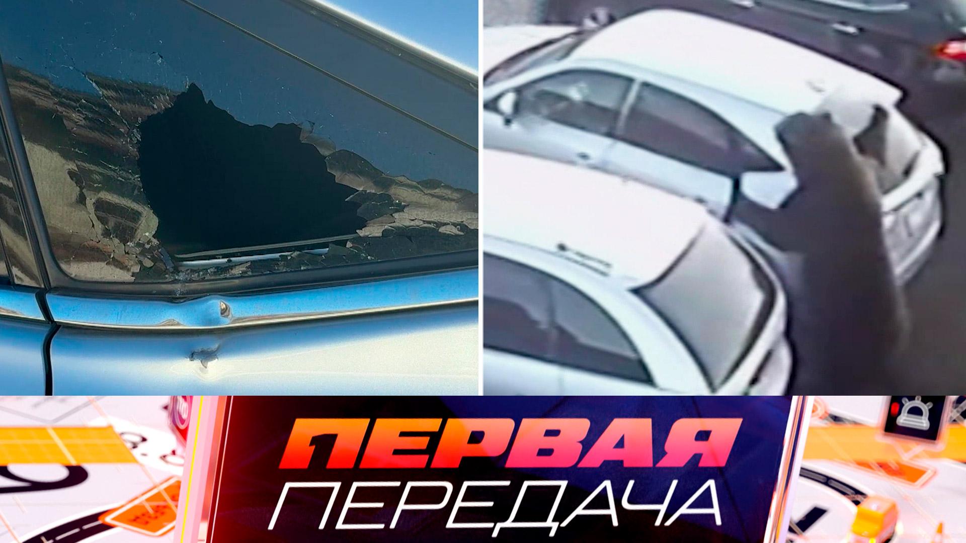 Возмещение ущерба за испорченное медведем авто и лишение прав из-за двух собак | «Первая передача»