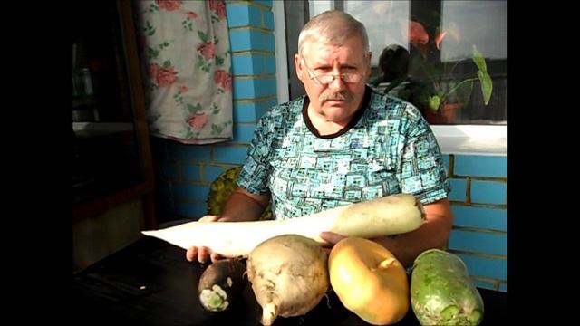 Дайкон ДРАКОН