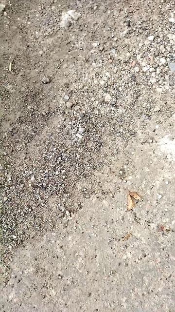 Давайте остановимся, посмотрим на то, что создала природа (6)