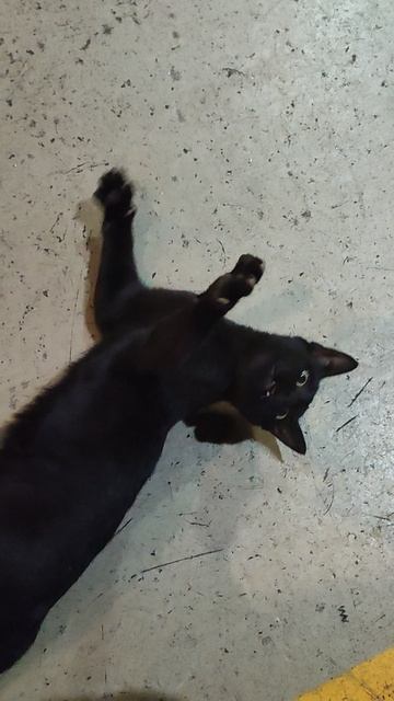 Кипит работа на заводе.