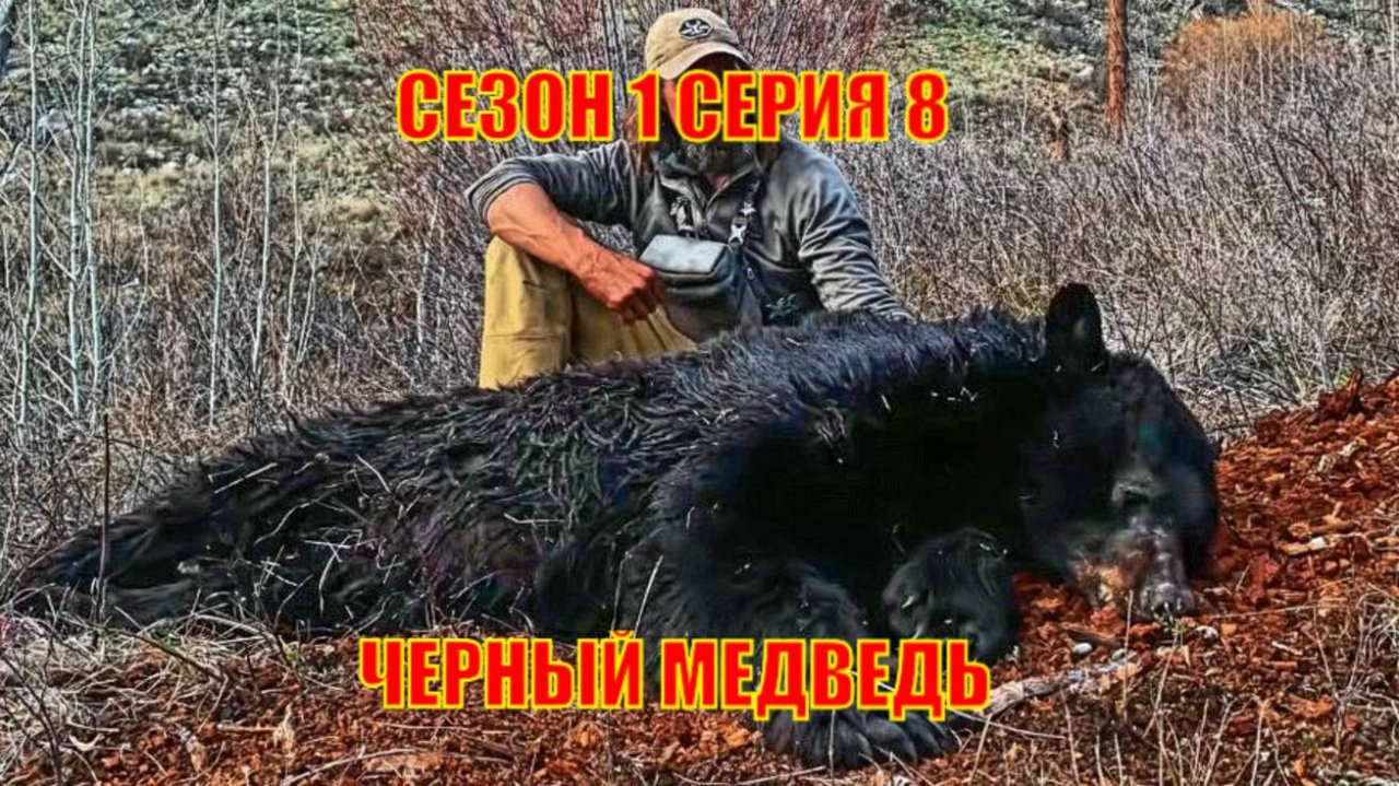 ОХОТА НА ЧЕРНОГО МЕДВЕДЯ СЕЗОН 1 СЕРИЯ 8