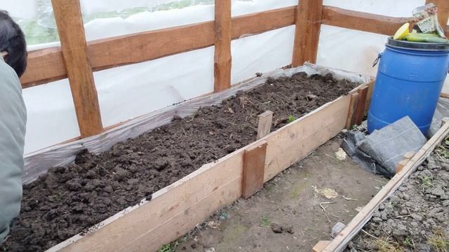 Обзор участка в октябре, работа в теплице. Убираю помидоры и огурцы.