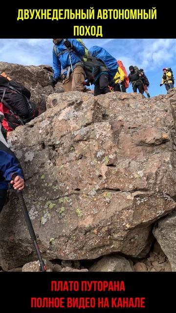 Дикая природа плато Путорана