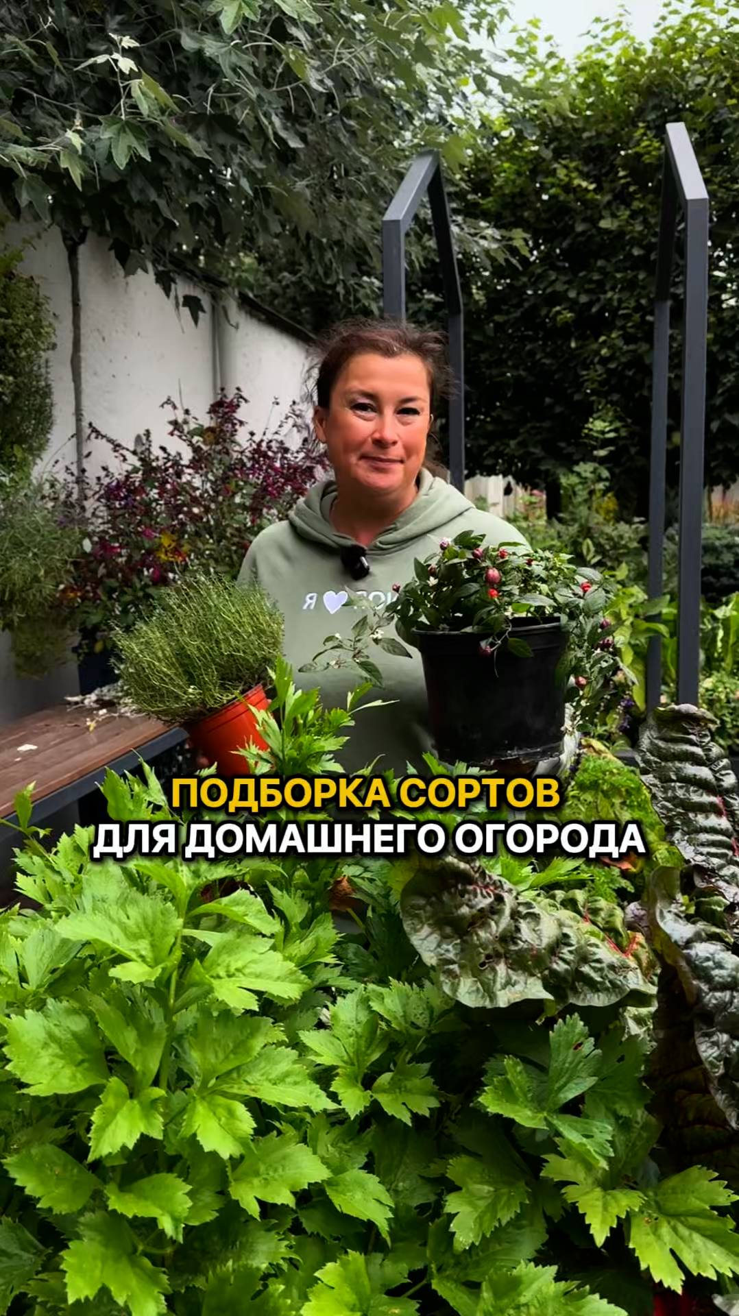 Что посеять в огороде на подоконнике? Лучшие сорта культур!