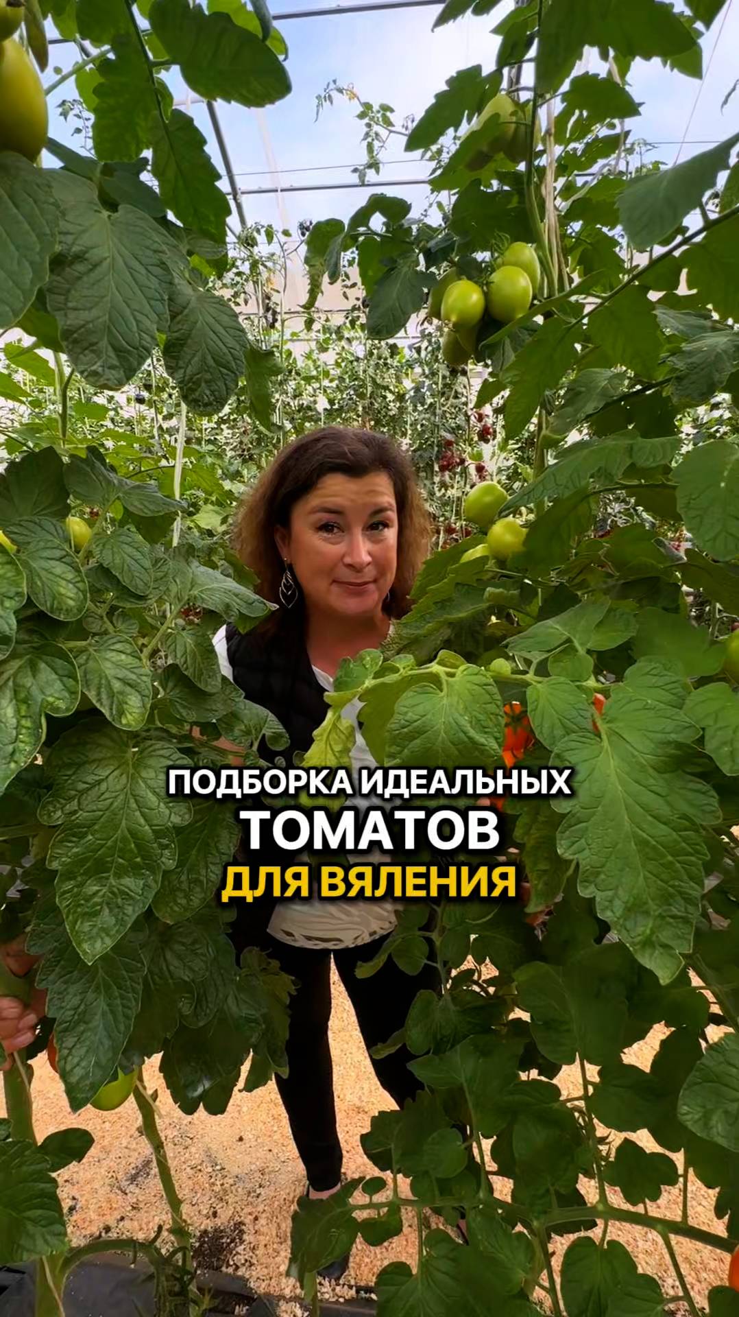 ТОП-8 томатов, идеальных для вяления!