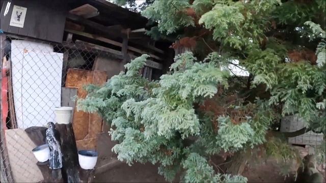 Поздравление. Итоги года.