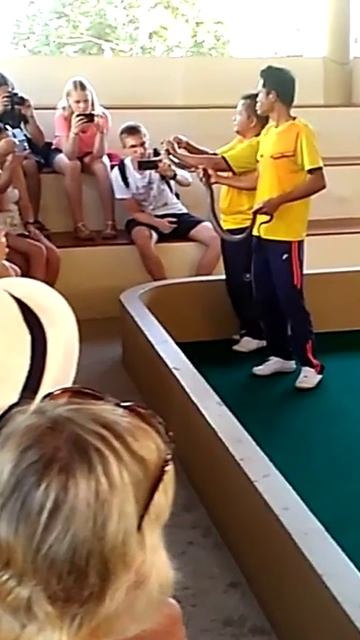 Какого цвета Яд Кобры (14)/Таиланд