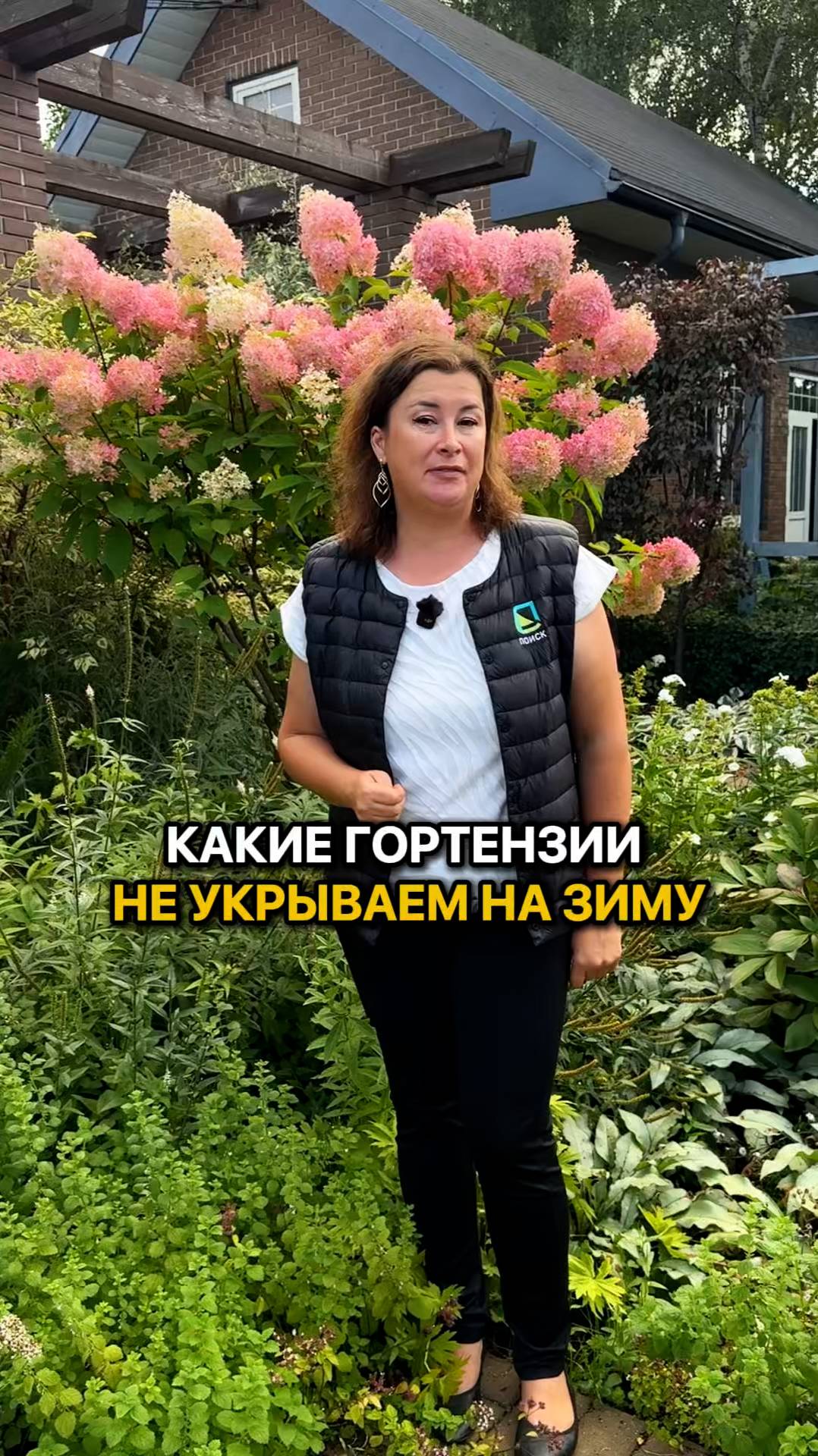 Эти гортензии НЕ НУЖНО УКРЫВАТЬ на зиму!