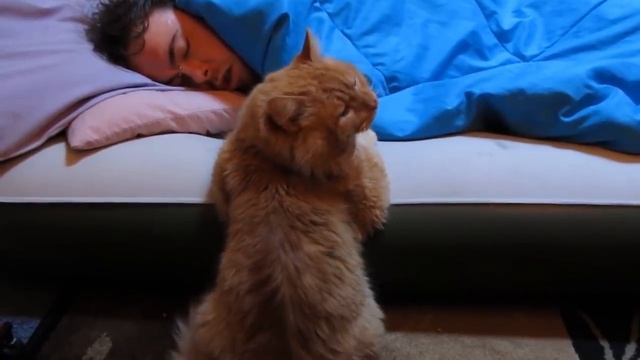 ДАВАЙ, ВСТАВАЙ