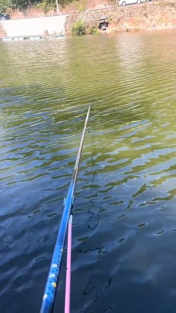 С рыбой рыбу ловит