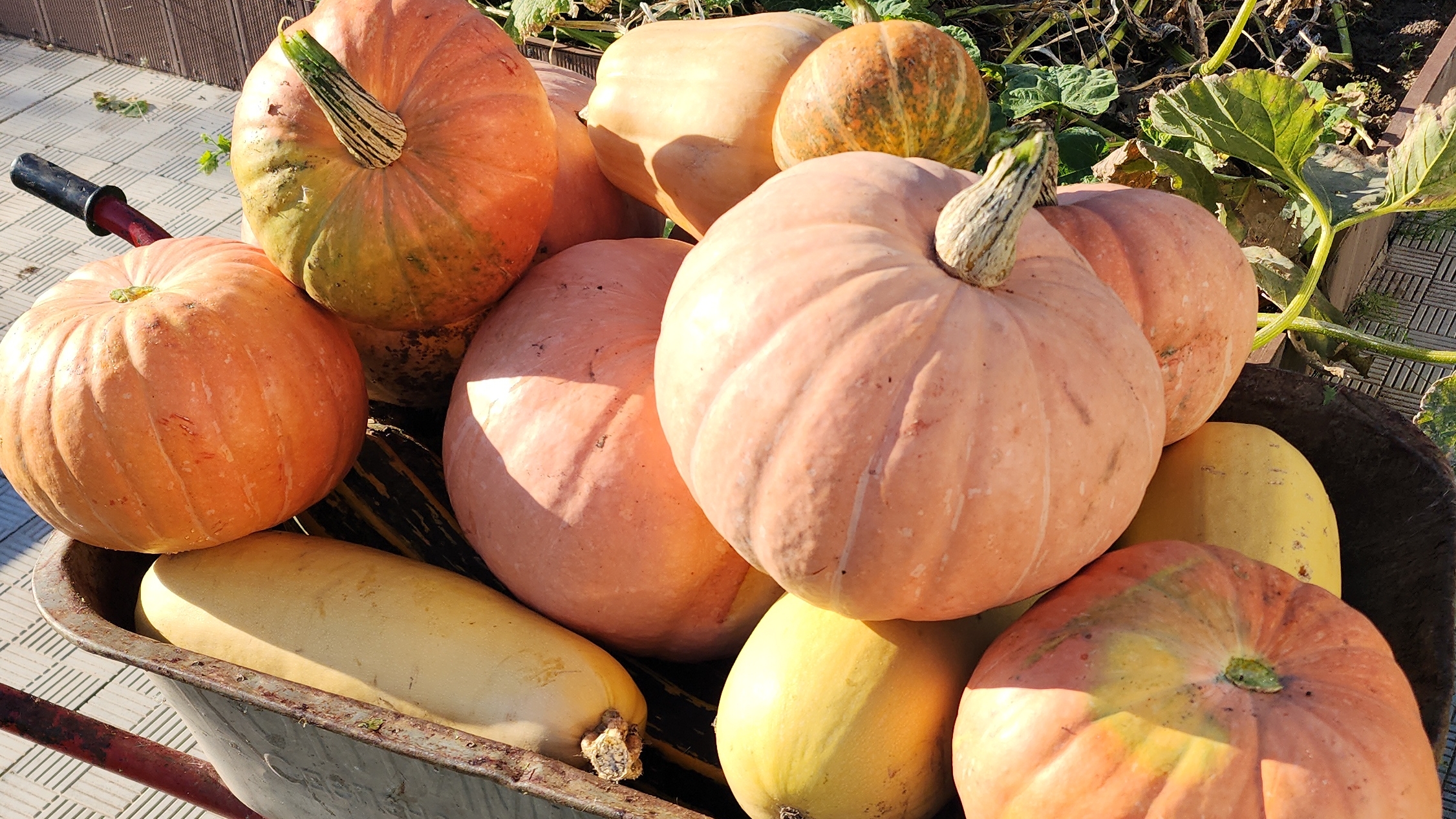 В конце сентября у нас...