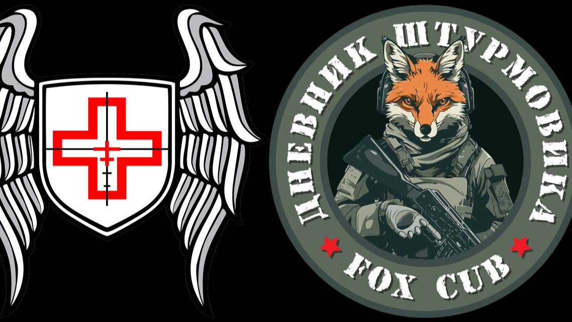 Штурмовая работа (Юрий Евич, Вадим Белов "Дневник штурмовика")