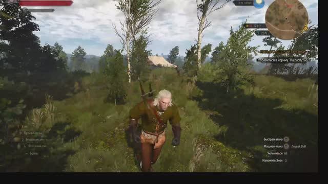трансляция бегаю по вопросикам в игре witcher 3 и прохлжу сюжет