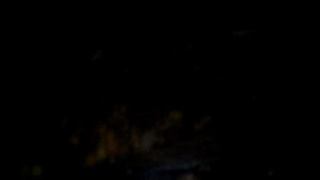 Деревенские приколы. День Рождения мамы  11. 10. 2014   (Сысоевский лес) 4 серия