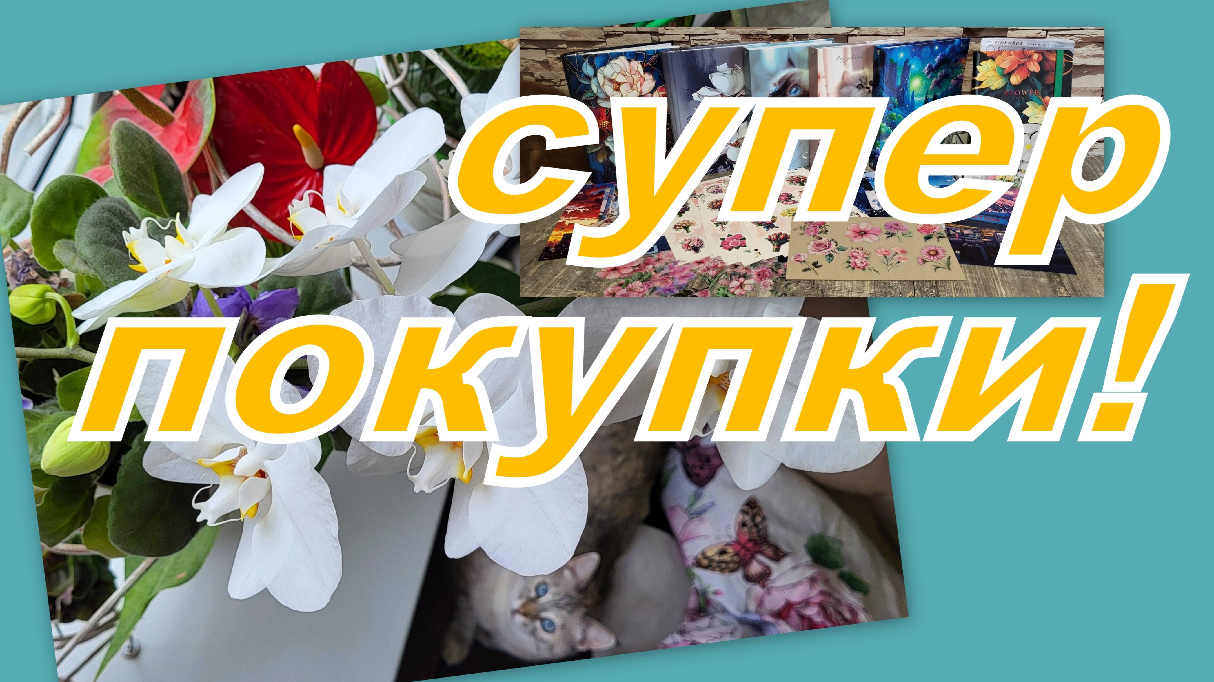 БОЛТАЛКА: ПОКУПКИ С ВАЛДБЕРИС, ЗАЧЕМ МНЕ ОНИ И ЧТО С ЭТИМ ДЕЛАЮ...