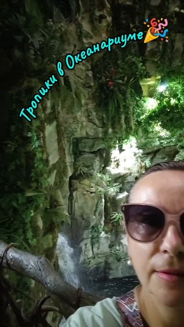 Океанариум Владивосток