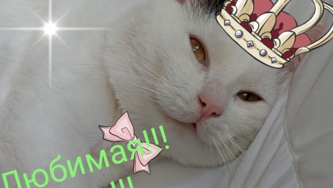 Красавица Осень!!!