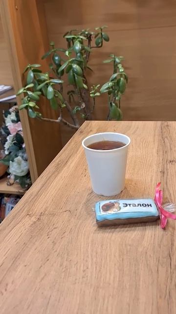 Наша Студия Эталон