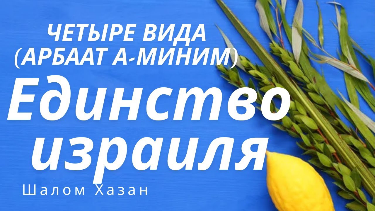 Четыре вида растений и Единство Израиля