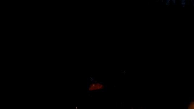 Деревенские приколы. День Рождения мамы  11. 10. 2014   (Сысоевский лес) 2 серия