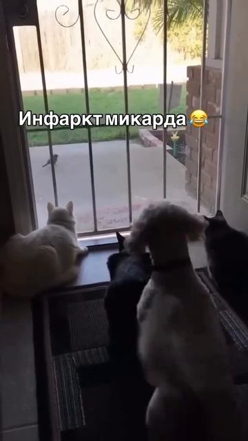 Минус одна жизнь