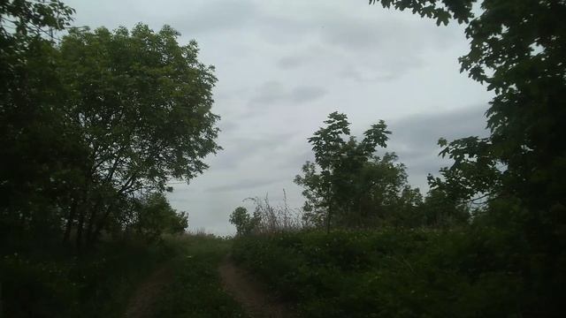 Исчезнувшая деревня Малая Фёдоровка, Хвалынский район.