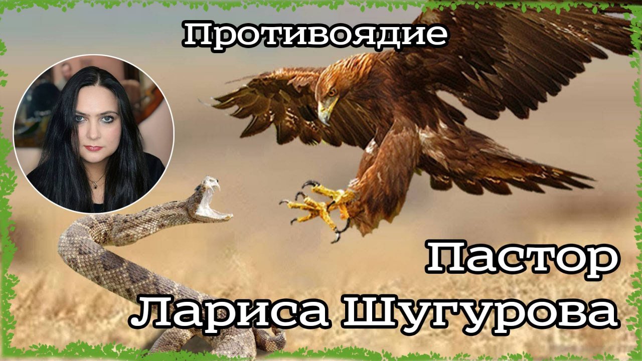 Противоядие 04.08.2023