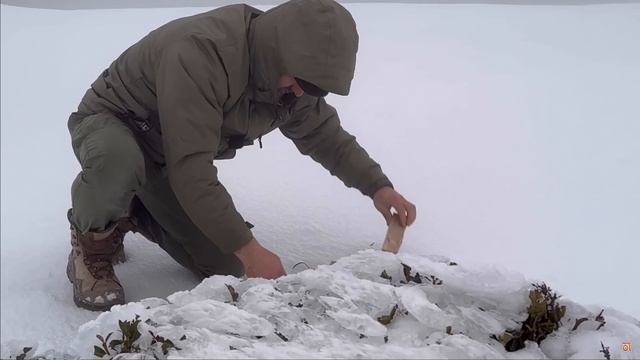 Atik Ailesi КЕМПИНГ В ЛЕДЯНОМ ЛЕСУ