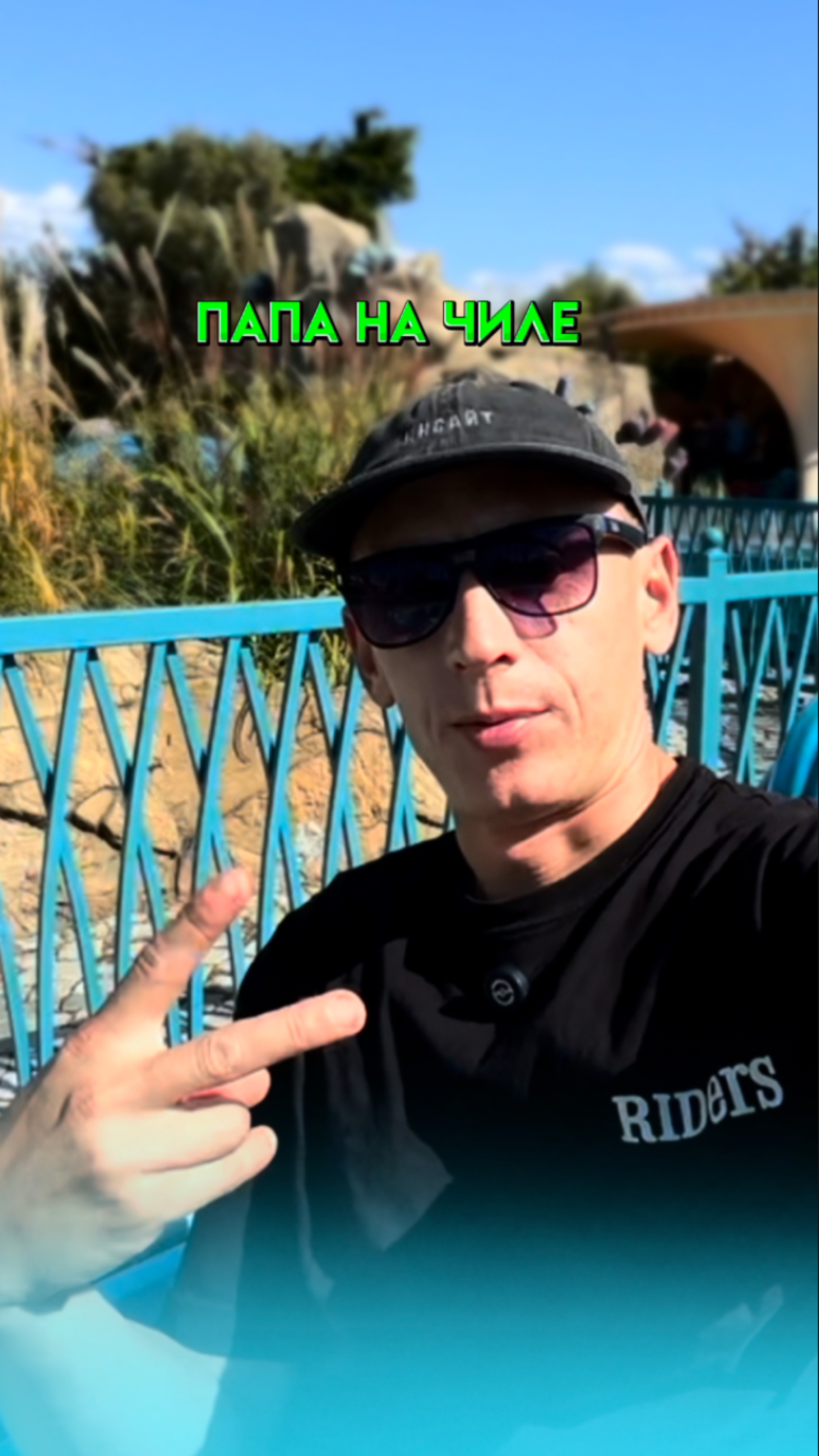 ПАПА НА ЧИЛЕ