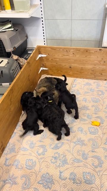 Он сам выбрал свою судьбу