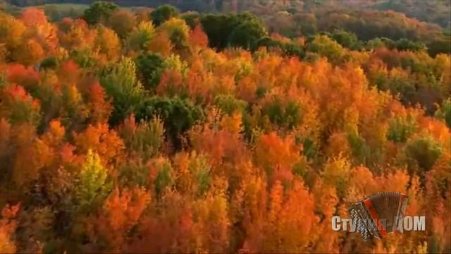 Михаил ГУЛЬКО-Если я заболею...1080рHD