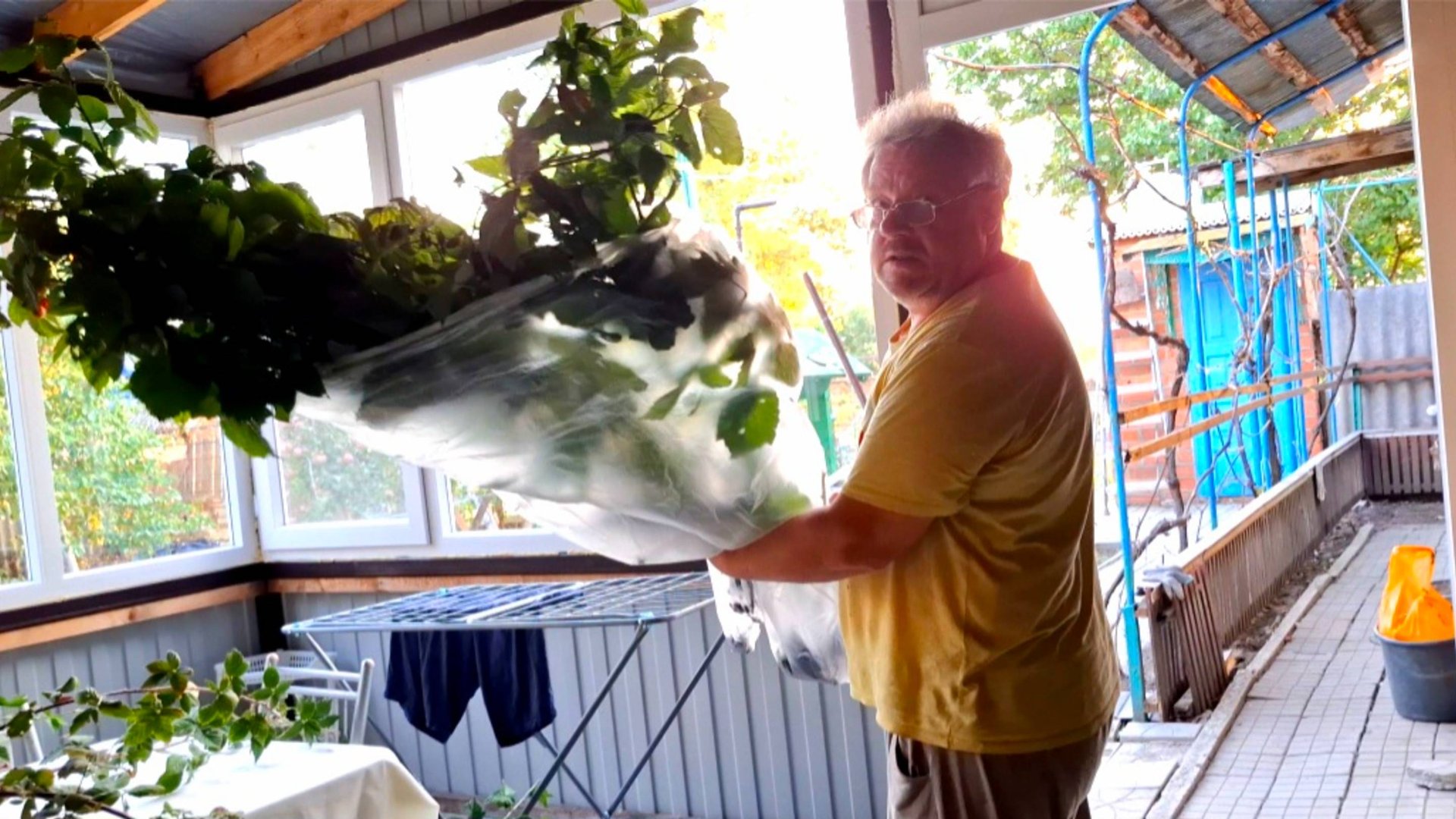 806 Переехали жить из города в станицу на юге. Думали уже Всё.Ошиблись.