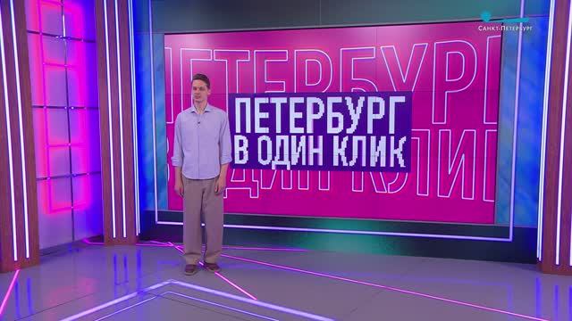 Петербург в один клик. Чудо-грибы, зимний спа-отель для птиц и массовый заплыв на сапах