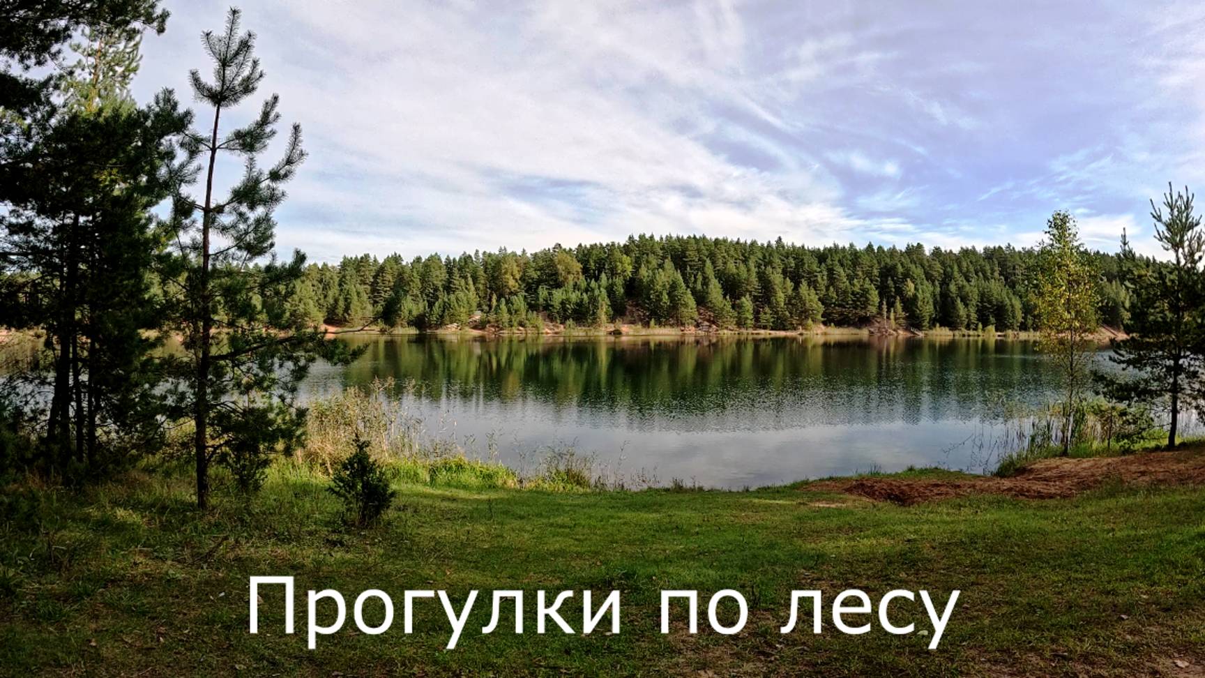 Прогулки по лесу.  Побывал во многих местах наших лесов. Нашел грибников.