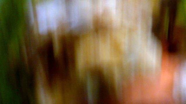 Обзор: "Одна из наших тыкв на хранении начала гнить."