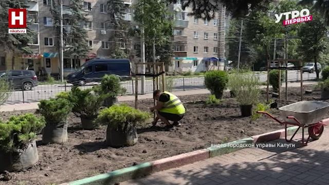 Озеленение Калуги | ПРО ЦВЕТ