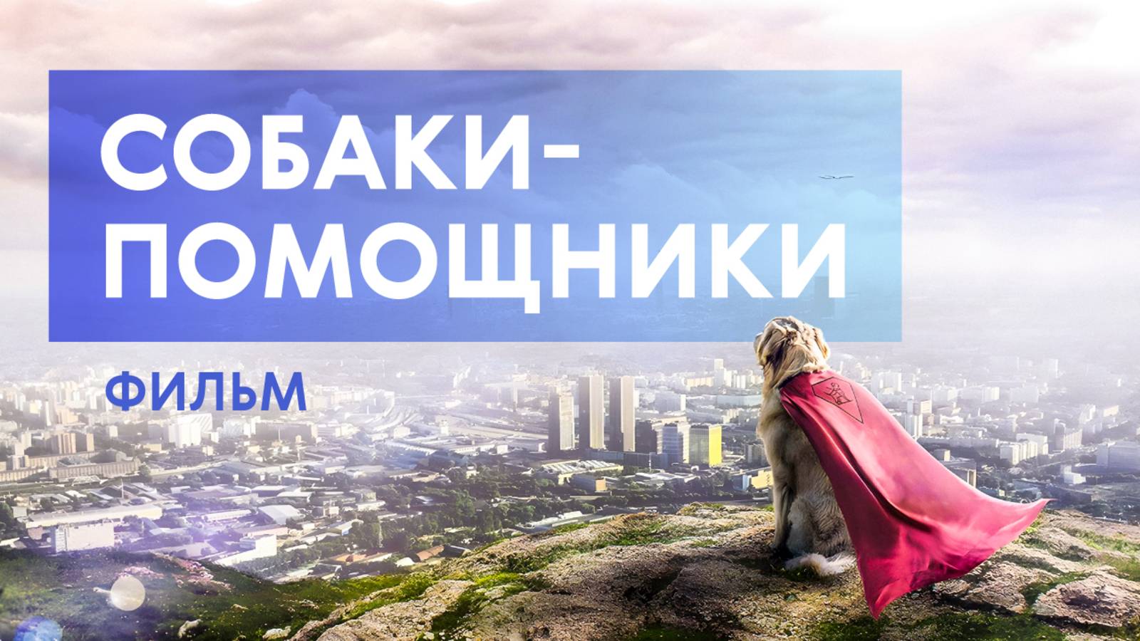 Собаки, которые умеют больше, чем врачи