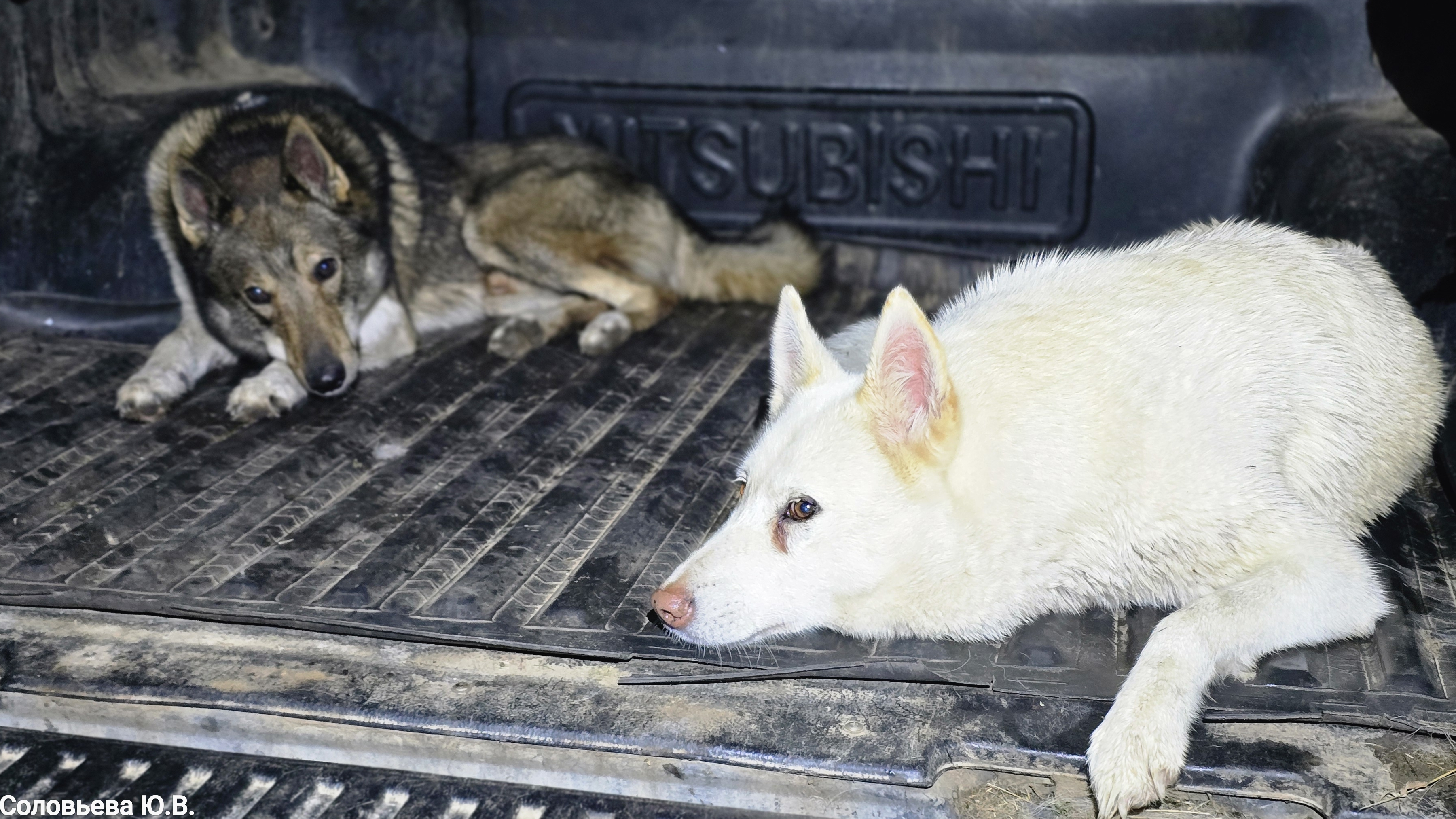 Теперь без навигации