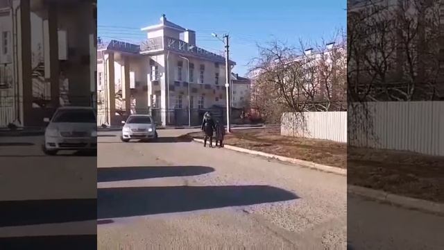 Педагоги-родителям о ПДД.mp4