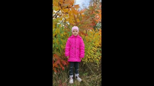 онлайн-конкурс «Осенняя поэзия» Панская Вероника, группа 4 «Звёздочка»