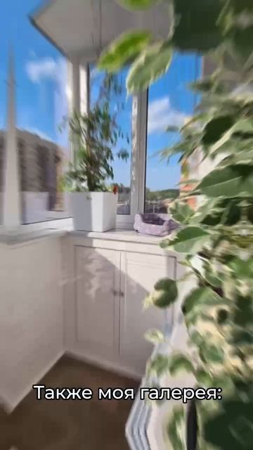 Отдать 100 тыс. мошенникам или сделать за эти же деньги балкон?