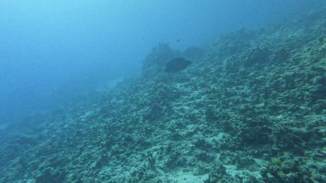 Часть 4 Domina  отель Diving и спа элезир