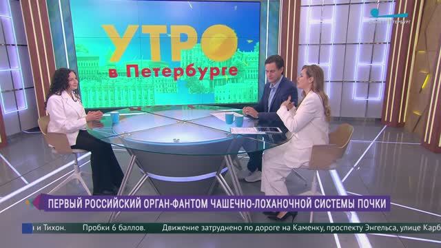 В России создали орган-фантом - модель чашечно-лоханочной системы почки