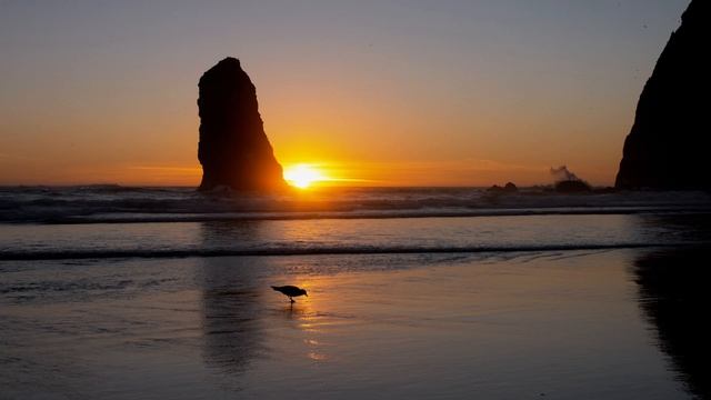 Сейчас расслабься у моря на 100% \ Музыка от стресса и тревоги \  Успокаивающая музыка